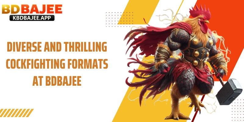 Diverse and Thrilling Cockfighting Formats at BDBAJEE